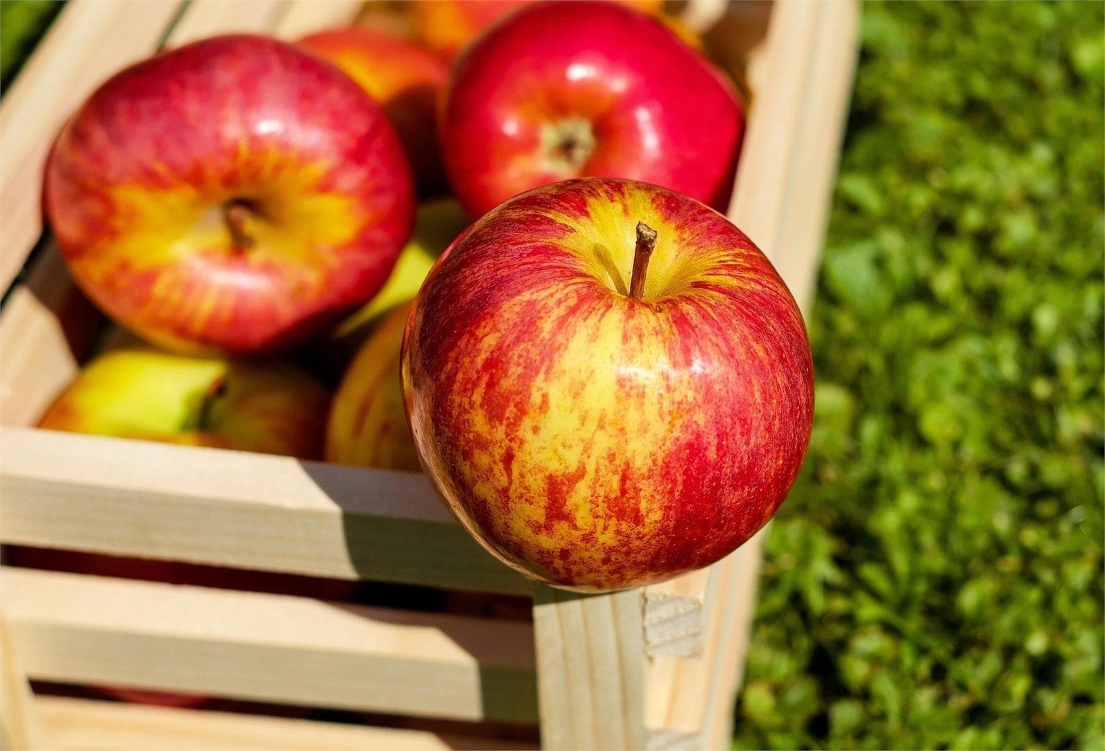 Alimentos estrella del otoño con beneficios para la salud - Imagen 3